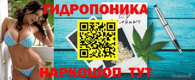 скорость Аргун