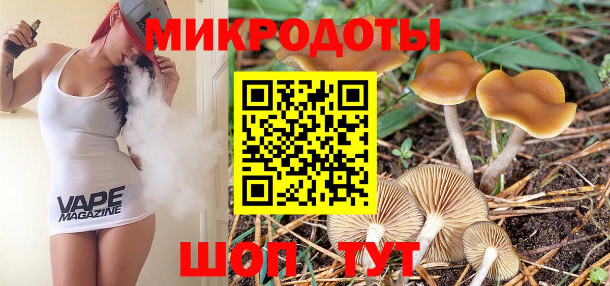 Псилоцибиновые грибы Cubensis Рославль