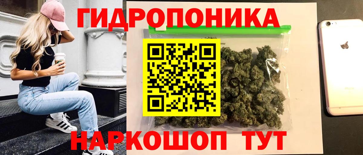 Каннабис план  Бошки марихуана White Widow  Рославль  Марихуана VHQ 
