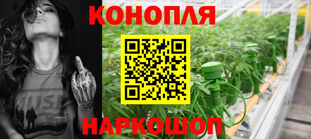 Рославль  Каннабис тримм  Вход с VPN  Конопля Bruce Banner 